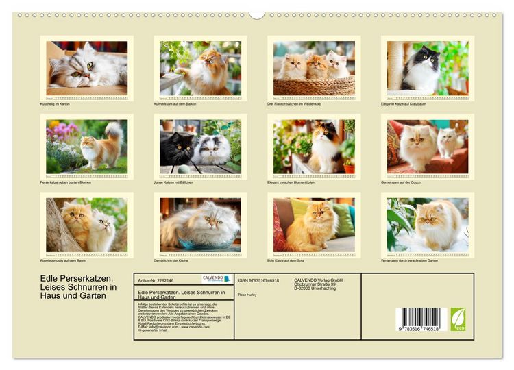 Produktbild: Edle Perserkatzen. Leises Schnurren in Haus und Garten (hochwertiger Premium Wandkalender 2026 DIN A2 quer), Kunstdruck in Hochglanz