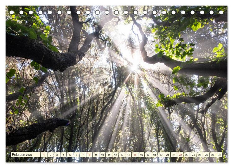 Produktbild: Teneriffa Entspannung Pur (Tischkalender 2026 DIN A5 quer), CALVENDO Monatskalender