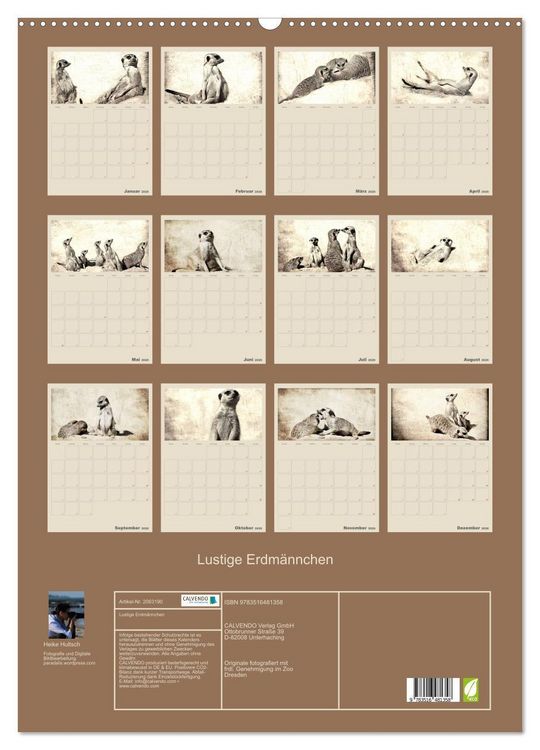 Produktbild: Lustige Erdm&auml;nnchen (Wandkalender 2026 DIN A2 hoch), CALVENDO Monatskalender