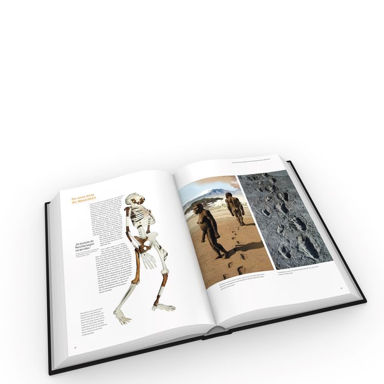 Produktbild: Homo Sapiens