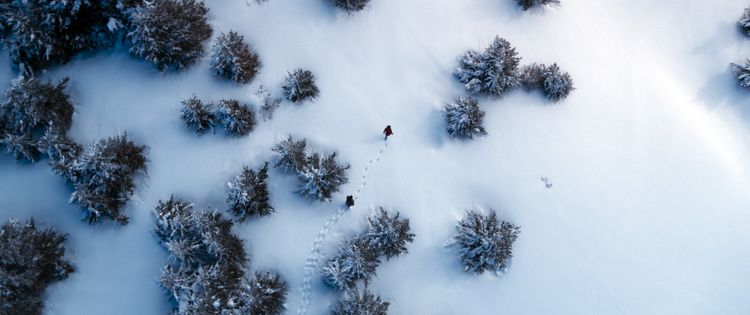Produktbild: White Hell - Eiskalte Jagd