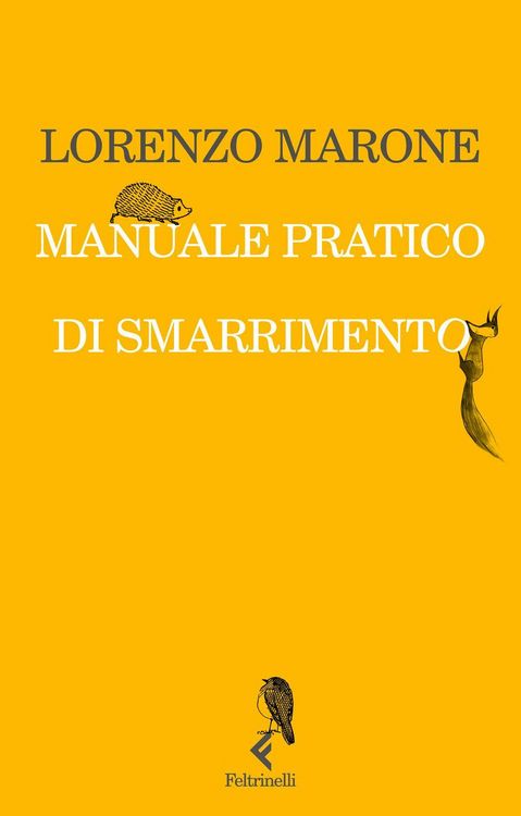 Produktbild: Manuale pratico di smarrimento