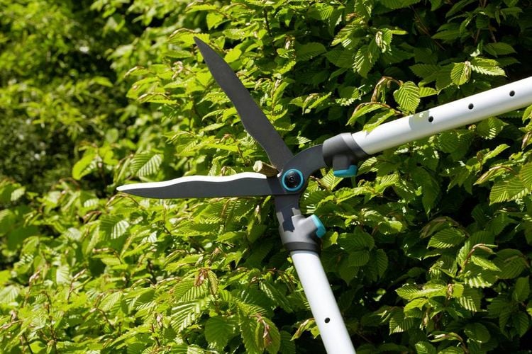 Produktbild: GARDENA Hand Heckenschere