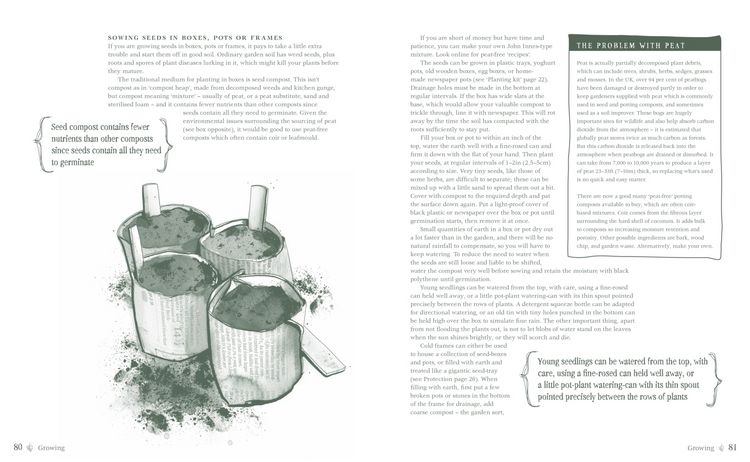 Produktbild: Home-Grown Harvest