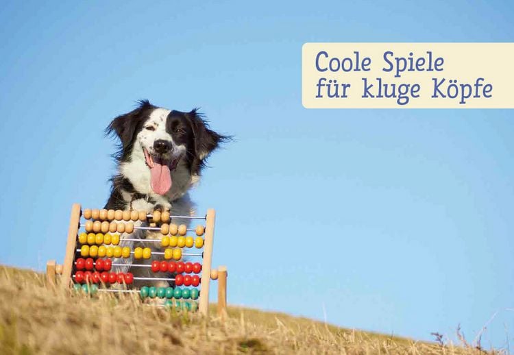 Produktbild: Spiele und Action f&uuml;r ausgeglichene H&uuml;tehunde