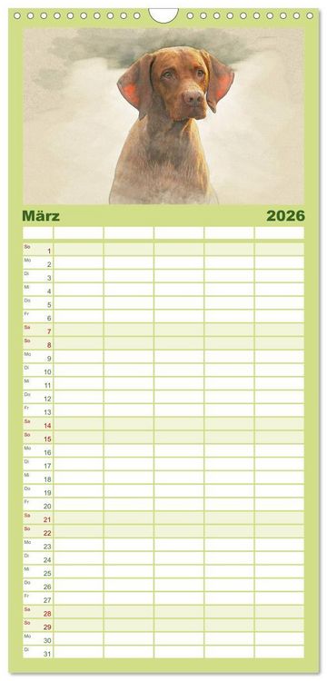 Produktbild: Familienplaner 2026 - Magyar Vizsla 2026 mit 5 Spalten (Wandkalender, 21 x 45 cm) CALVENDO