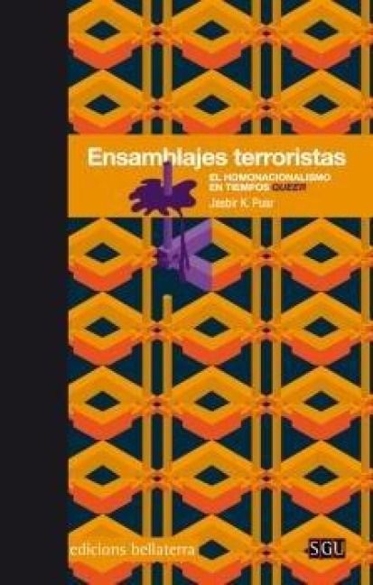 Produktbild: Ensamblajes terroristas : el homonacionalismo en tiempos queer