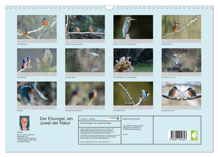 Produktbild: Der Eisvogel, ein Juwel der Natur (Wandkalender 2026 DIN A3 quer), CALVENDO Monatskalender