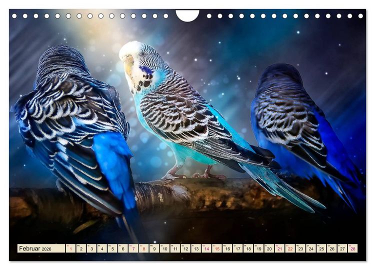 Produktbild: Wundersch&ouml;ner Wellensittich (Wandkalender 2026 DIN A4 quer), CALVENDO Monatskalender