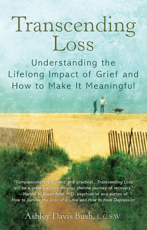 Produktbild: Transcending Loss