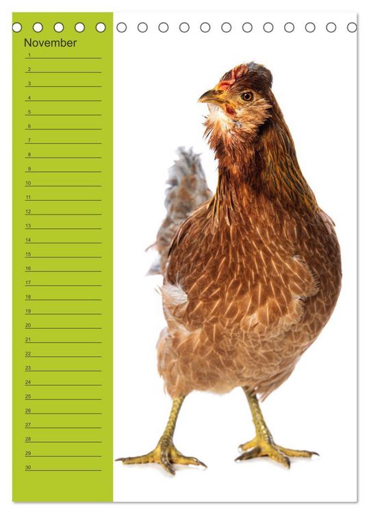 Produktbild: Kunterbunte H&uuml;hner Truppe (Tischkalender 2026 DIN A5 hoch), CALVENDO Monatskalender