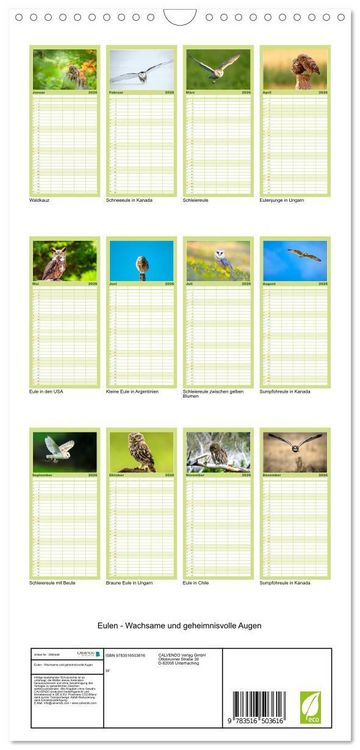 Produktbild: Familienplaner 2026 - Eulen - Wachsame und geheimnisvolle Augen mit 5 Spalten (Wandkalender, 21 x 45 cm) CALVENDO