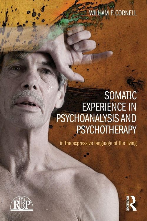 Produktbild: Somatic Experience in Psychoanalysis and Psychotherapy