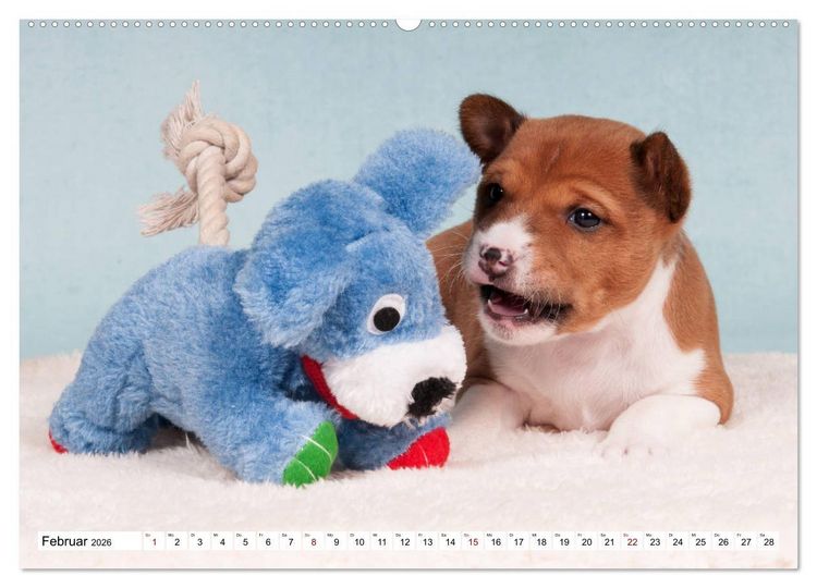 Produktbild: Wunderbare Basenji Welpenzeit (hochwertiger Premium Wandkalender 2026 DIN A2 quer), Kunstdruck in Hochglanz