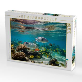 Produktbild: CALVENDO Puzzle Fischschwarm in den Tropen mit Korallen | 1000 Teile Lege-Gr&ouml;&szlig;e 64x48cm Foto-Puzzle f&uuml;r gl&uuml;ckliche Stunden
