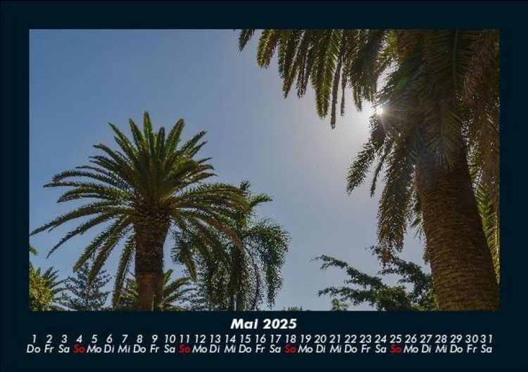 Produktbild: Palmentraum 2025 Fotokalender DIN A5