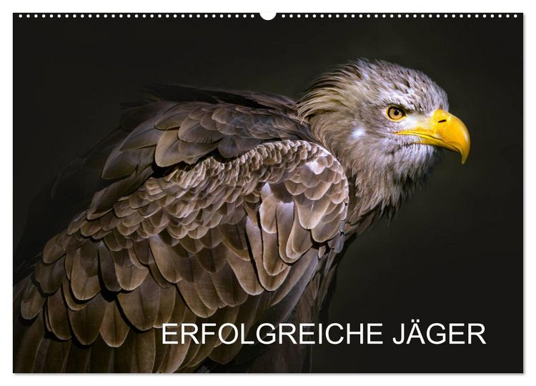 Produktbild: Erfolgreiche J&auml;ger (Wandkalender 2026 DIN A2 quer), CALVENDO Monatskalender