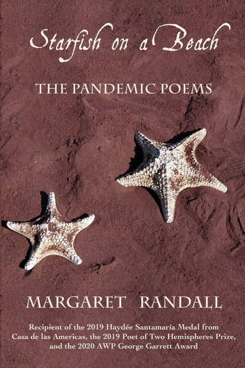 Produktbild: Starfish on a Beach
