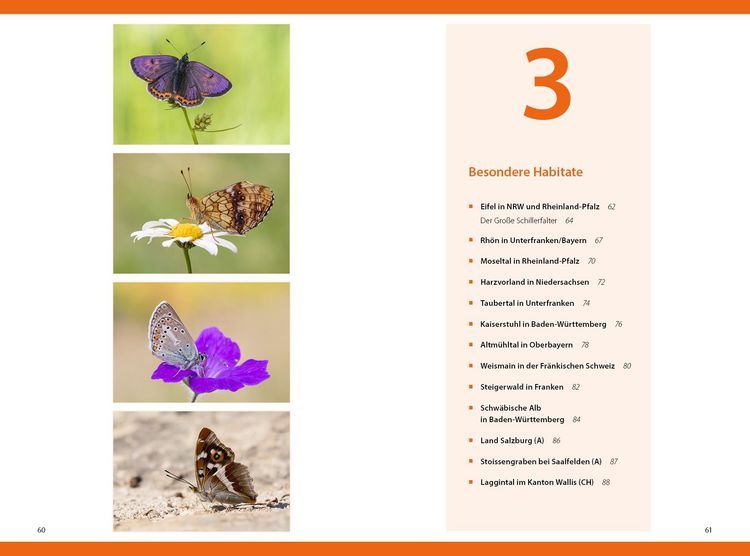 Produktbild: Schmetterlinge - so gelingen faszinierende Fotos