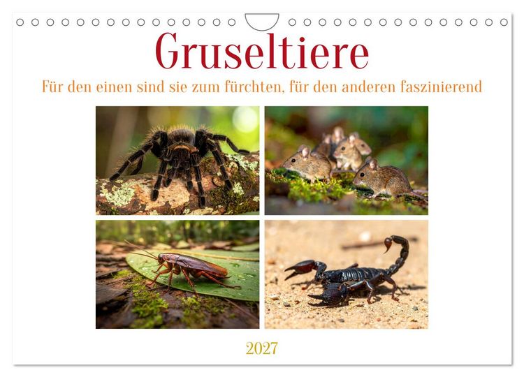 Produktbild: Gruseltiere (Wandkalender 2027 DIN A4 quer), CALVENDO Monatskalender