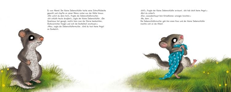 Produktbild: Der kleine Siebenschl&auml;fer 5: Die Geschichte vom kleinen Siebenschl&auml;fer, der &uuml;berhaupt keine Angst im Dunkeln hatte