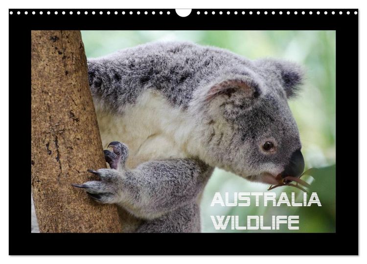 Produktbild: Australia Wildlife (Wandkalender 2026 DIN A3 quer), CALVENDO Monatskalender