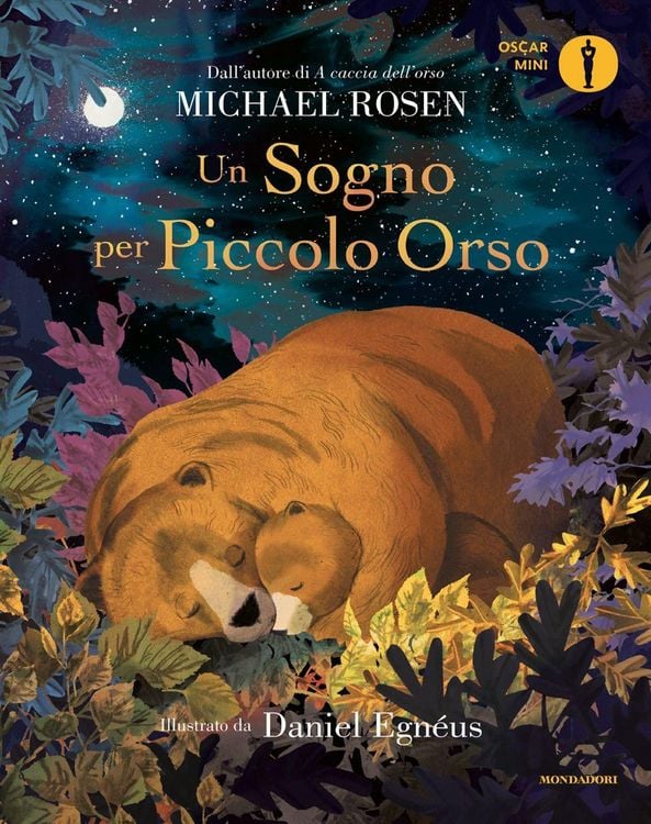 Produktbild: Un sogno per Piccolo Orso