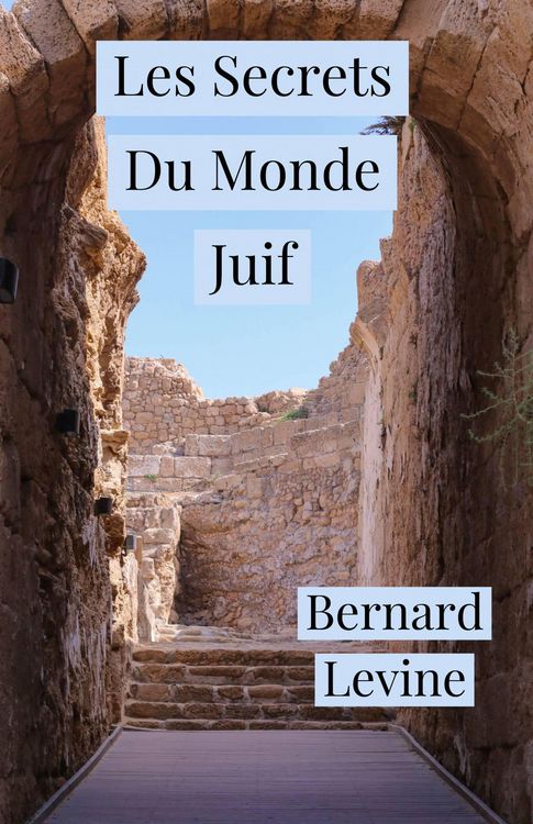 Produktbild: Les Secrets Du Monde Juif