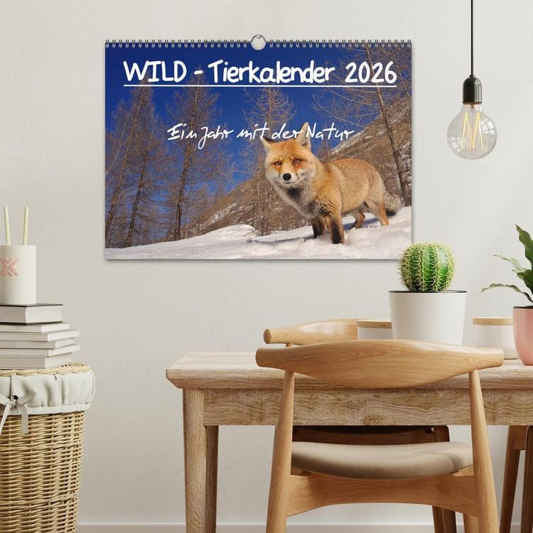 Produktbild: WILD - Tierkalender 2026 (Wandkalender 2026 DIN A3 quer), CALVENDO Monatskalender