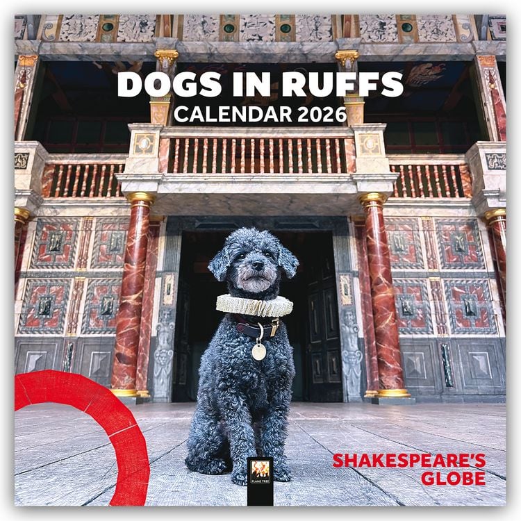 Produktbild: Dogs in Ruffs – Hunde mit Halskrausen 2026 – Original Flame Tree Publishing-Kalender [Kalender]