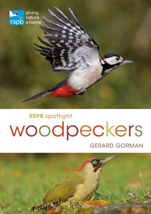 Produktbild: RSPB Spotlight Woodpeckers