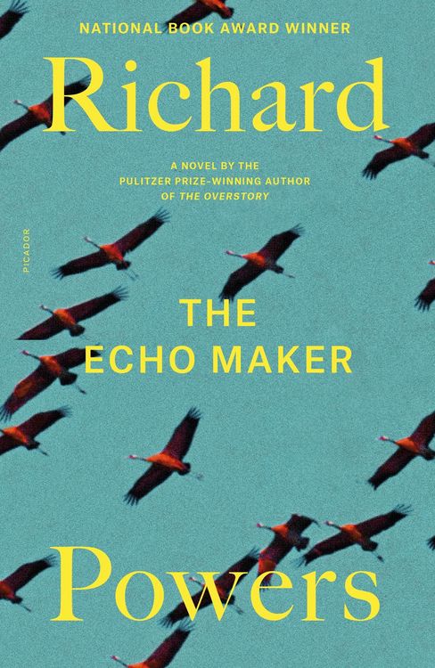 Produktbild: The Echo Maker