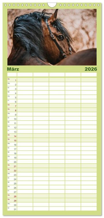 Produktbild: Familienplaner 2026 - Die Faszinierende Welt der Pferde mit 5 Spalten (Wandkalender, 21 x 45 cm) CALVENDO
