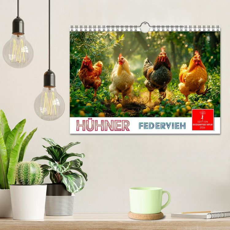 Produktbild: H&uuml;hner Federvieh (Wandkalender 2026 DIN A4 quer), CALVENDO Monatskalender