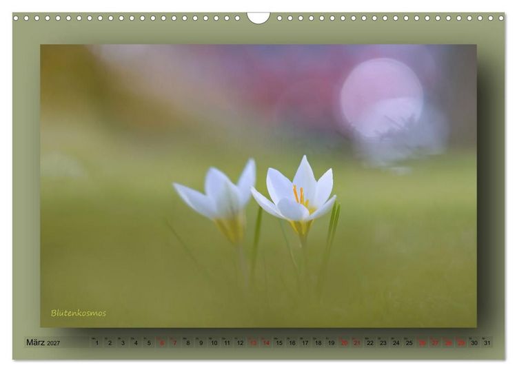 Produktbild: Foto-Art-Natur (Wandkalender 2027 DIN A3 quer), CALVENDO Monatskalender