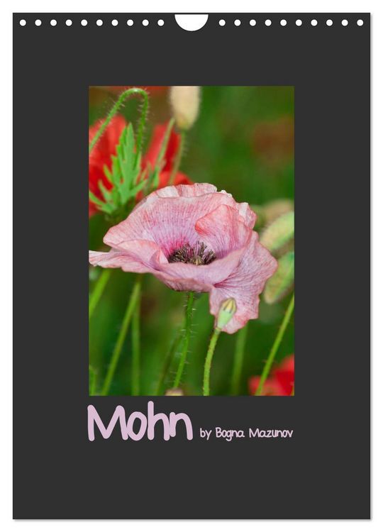 Produktbild: Mohn (Wandkalender 2026 DIN A4 hoch), CALVENDO Monatskalender