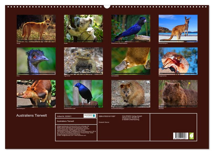 Produktbild: Australiens Tierwelt (Wandkalender 2026 DIN A2 quer), CALVENDO Monatskalender