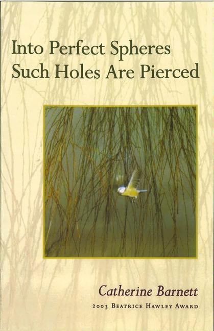 Produktbild: Into Perfect Spheres Such Holes Are Pierced