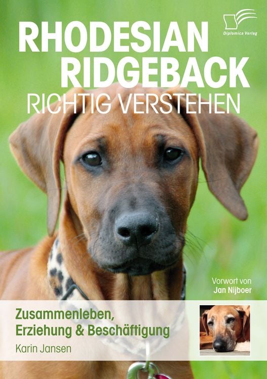 Produktbild: Rhodesian Ridgeback richtig verstehen: Zusammenleben, Erziehung & Besch&auml;ftigung