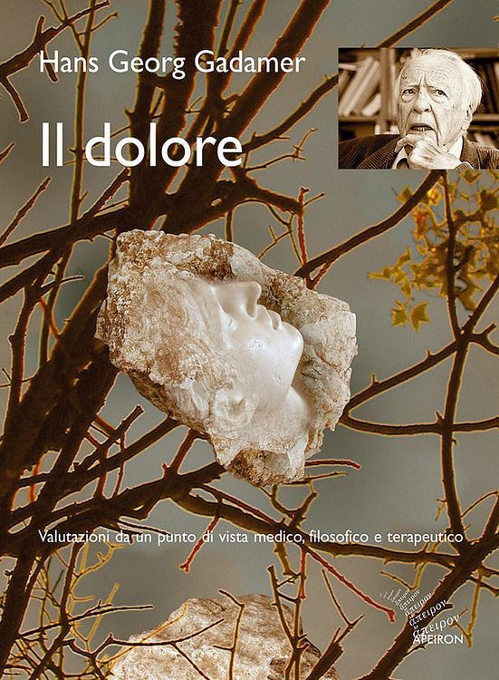 Produktbild: Il dolore. Valutazioni da un punto di vista medico, filosofico e terapeutico
