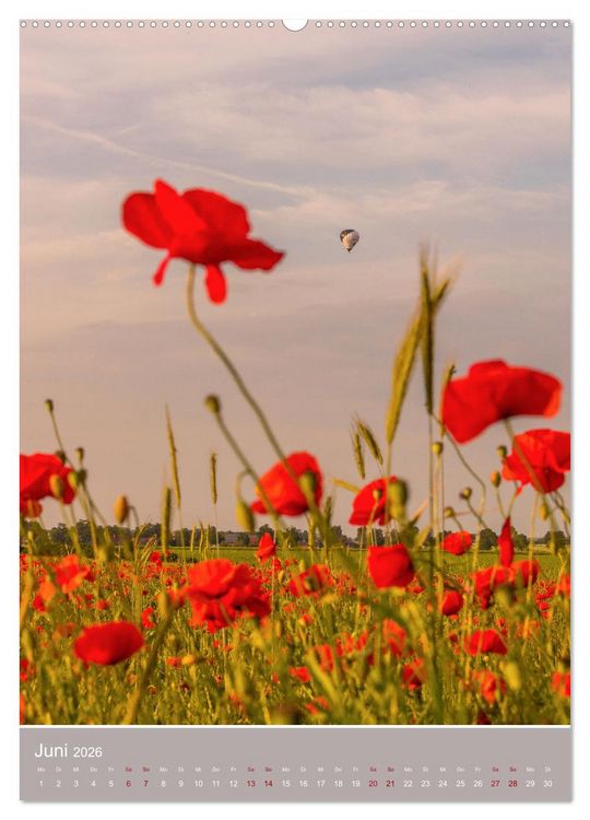 Produktbild: Mohnblumen - kraftvoll und zart (Wandkalender 2026 DIN A2 hoch), CALVENDO Monatskalender
