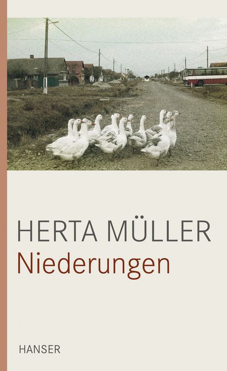 Produktbild: Niederungen