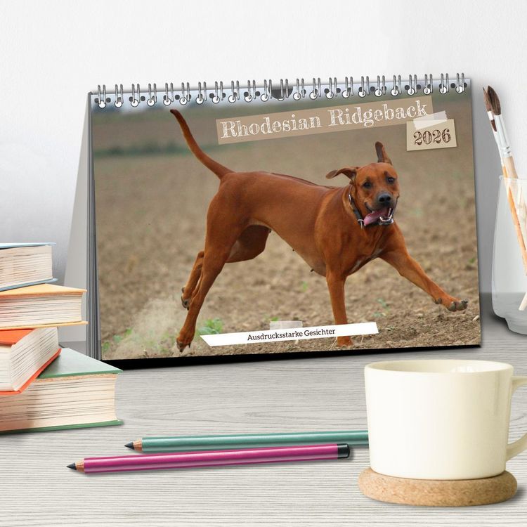 Produktbild: Rhodesian Ridgeback - Ausdrucksstarke Gesichter (Tischkalender 2026 DIN A5 quer), CALVENDO Monatskalender
