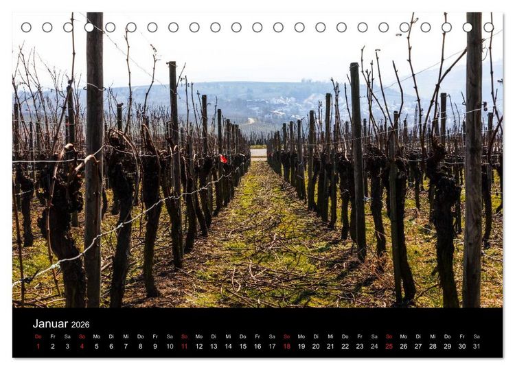 Produktbild: Das Jahr im Weinberg (Tischkalender 2026 DIN A5 quer), CALVENDO Monatskalender