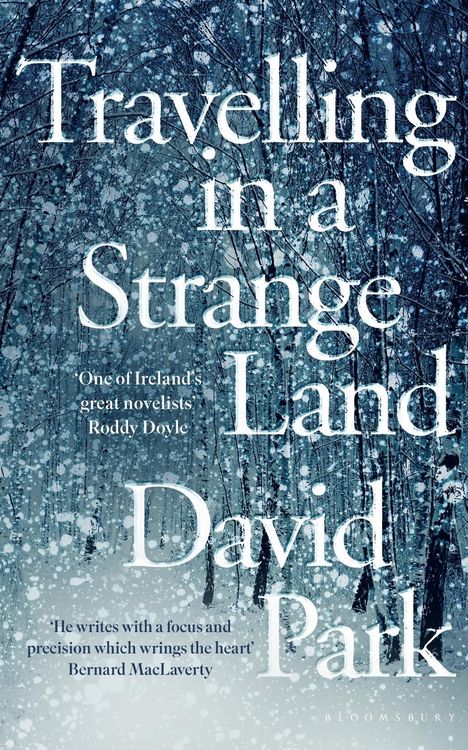 Produktbild: Travelling in a Strange Land