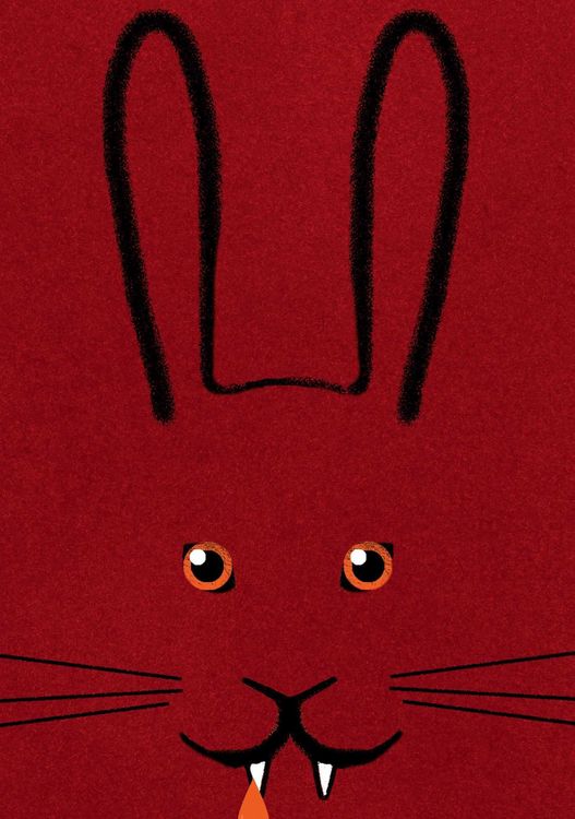 Produktbild: Bunnicula