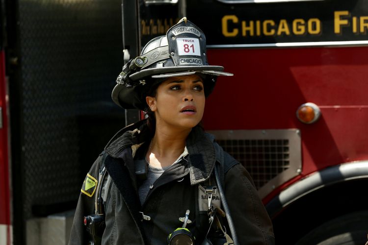 Produktbild: Chicago Fire - Staffel 4 [6 BRs]