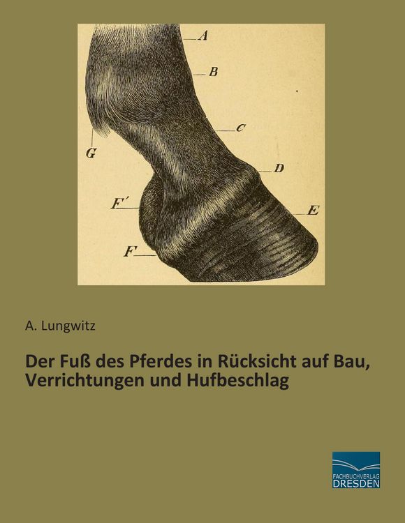 Produktbild: Der Fu&szlig; des Pferdes in R&uuml;cksicht auf Bau, Verrichtungen und Hufbeschlag