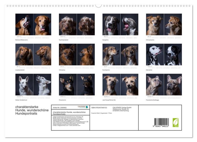 Produktbild: charakterstarke Hunde, wundersch&ouml;ne Hundeportraits (hochwertiger Premium Wandkalender 2026 DIN A2 quer), Kunstdruck in Hochglanz