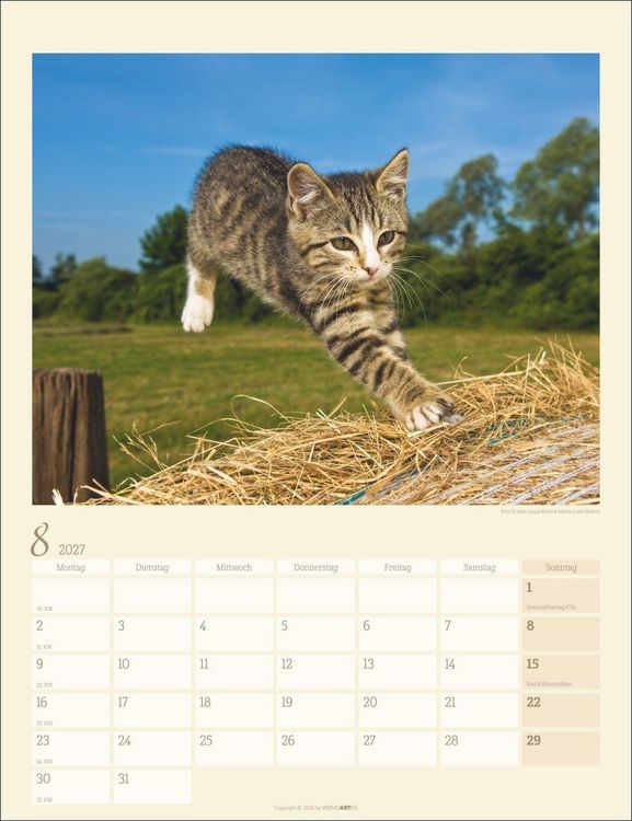 Produktbild: Katzen auf dem Lande Kalender 2027